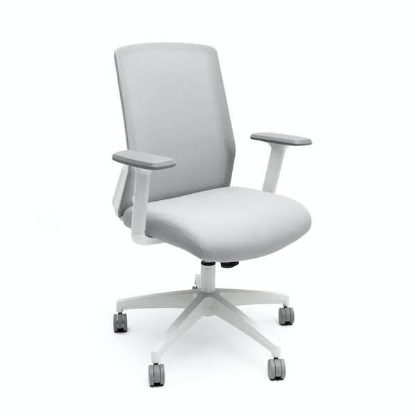 Desk Chairs